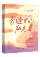 裂縫里的陽光1在線閱讀