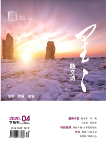 星星·散文诗（2020年第4期）