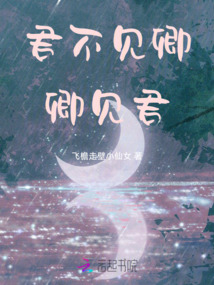 君不見卿卿見君