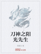 刀神之阳光先生在线阅读