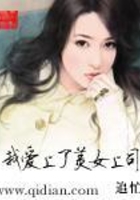 我愛上了美女上司在線閱讀
