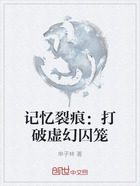 记忆裂痕：打破虚幻囚笼在线阅读