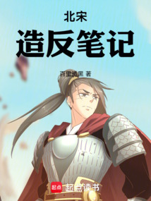 北宋造反笔记