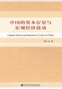 中國的資本存量與宏觀經濟波動