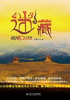 迷藏：藏地秘境Ω大穿越在線閱讀