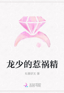 龍少的惹禍精