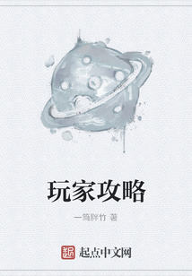 玩家攻略