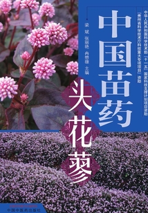 中國(guó)苗藥頭花蓼