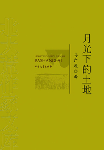 月光下的土地