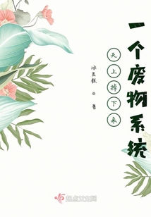 天上掉下來一個廢物系統