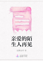親愛的陌生人再見在線閱讀