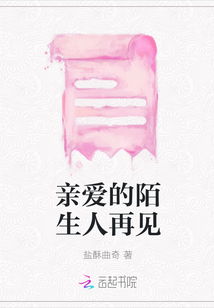親愛的陌生人再見