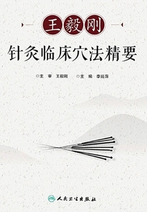 王毅剛針灸臨床穴法精要