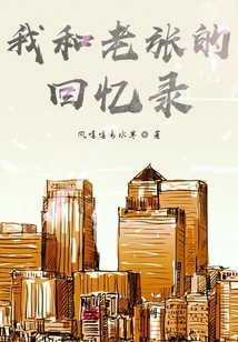 B市回憶錄