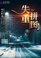 失重拼图在线阅读