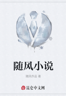 随风小说