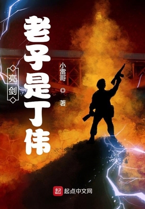 亮剑：老子是丁伟在线阅读