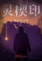 灵楔印在线阅读