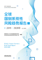 2019—2020年全球国别系统性风险趋势报告2在线阅读