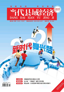 當代縣域經(jīng)濟(2021年第1期)