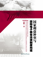 国家利益冲突与国际电子商务法律制度构建在线阅读