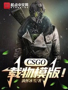 CSGO：载物模版！在线阅读