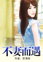 不妻而遇在線閱讀