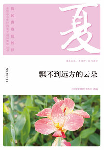 “我的青春我的夢”全國中學(xué)生校園美文精品集萃叢書:飄不到遠(yuǎn)方的云朵