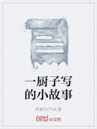 一厨子写的小故事在线阅读