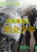 天衍羲光之鉑金少年在線閱讀