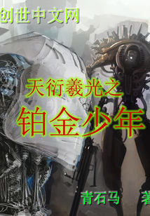 天衍羲光之鉑金少年