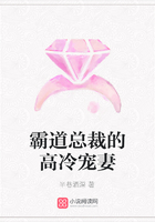 霸道总裁的高冷宠妻在线阅读