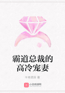 霸道总裁的高冷宠妻