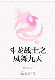 斗龙战士之凤舞九天