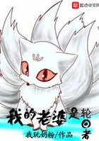 我的老婆是轮回者在线阅读