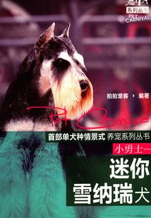 小勇士：迷你雪納瑞犬