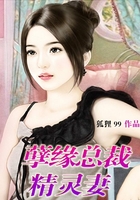 孽缘总裁精灵妻