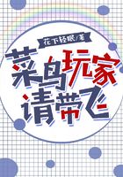 菜鸟玩家请带飞