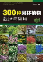 300种园林植物栽培与应用在线阅读