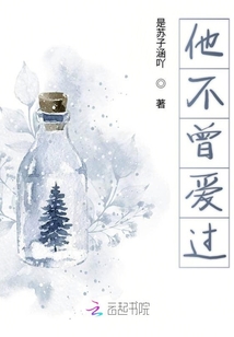 他不曾愛過