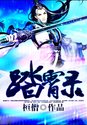 踏霄录在线阅读