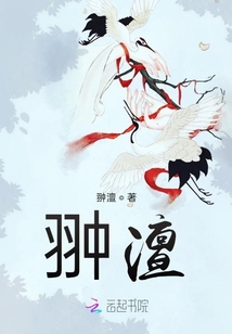 翀澶