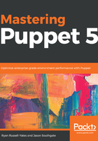 Mastering Puppet 5在線閱讀