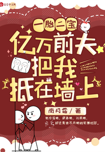 一胎二寶：億萬前夫把我抵在墻上
