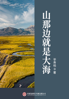 山那邊就是大海在線閱讀