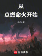 从点燃命火开始在线阅读
