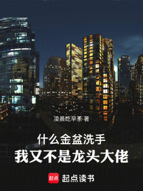 什么金盆洗手,我又不是龙头大佬在线阅读