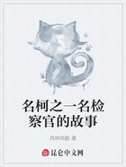 名柯之一名检察官的故事在线阅读