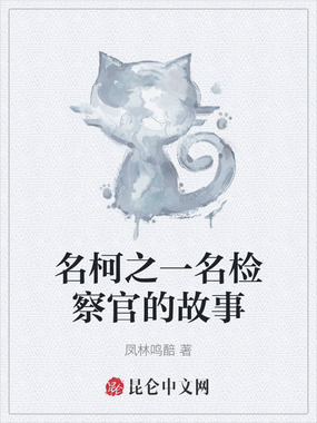 名柯之一名检察官的故事在线阅读