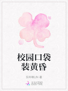 校园口袋装黄昏在线阅读